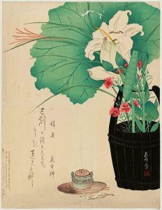 Les bois odorants (partie 3): arbre à thé, une leçon de bienveillance et l’art du kōdō