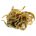 Hypothyroïdie: Laminaria